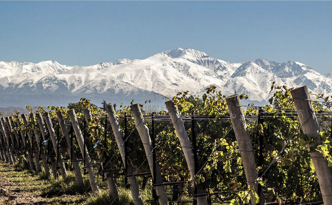 Alba en los Andes vinos de calidad a precio razonable